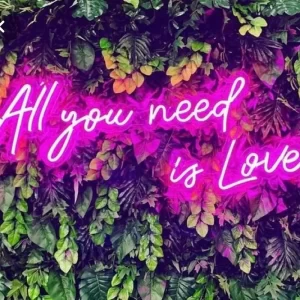 neon sign 'all you need is love'