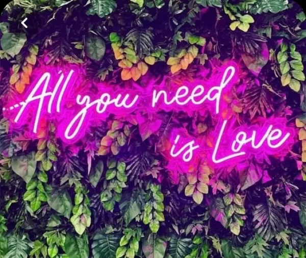 neon sign 'all you need is love'