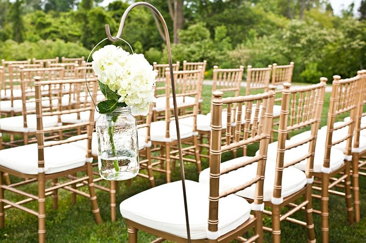 Tiffany Chairs For Any Occassion Luxe Hire